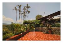 Fincas y Casas Campestres, Venta, Dagua - $650.000.000