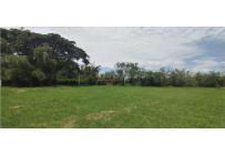 Lotes, Venta, Palmira - $415.000.000