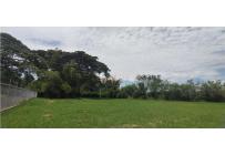 Lotes, Venta, Palmira - $415.000.000