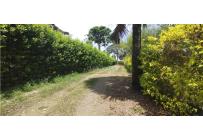 Lotes, Venta, Palmira - $415.000.000