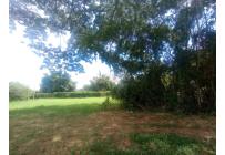 Lotes, Venta, Palmira - $415.000.000