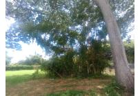 Lotes, Venta, Palmira - $415.000.000