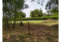 Lotes, Venta, Palmira - $415.000.000