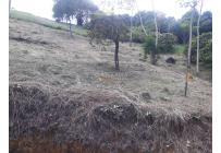 Lotes, Venta, Jamundí - $575.910.000