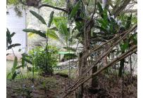 Lotes, Venta, Dagua - $160.000.000