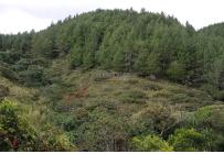 Fincas y Casas Campestres, Venta, Dagua - $520.000.000