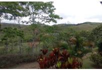 Fincas y Casas Campestres, Venta, Dagua - $520.000.000