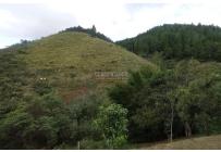 Fincas y Casas Campestres, Venta, Dagua - $520.000.000