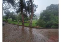 Fincas y Casas Campestres, Venta, Dagua - $790.000.000