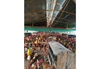 Fincas y Casas Campestres, Venta, Guacarí - $1.200.000.000