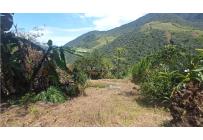 Fincas y Casas Campestres, Venta, Restrepo - $480.000.000