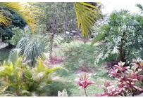 Fincas y Casas Campestres, Venta, Dagua - $600.000.000