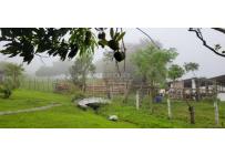 Fincas y Casas Campestres, Venta, Pradera - $1.750.000.000