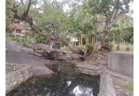 Casas, Venta, Pance - $1.390.000.000