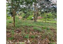 Lotes, Venta, La Cumbre - $135.000.000