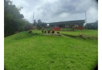 Fincas y Casas Campestres, Venta, La Cumbre - $1.100.000.000