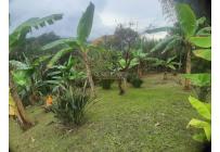 Fincas y Casas Campestres, Venta, La Cumbre - $1.100.000.000