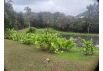 Fincas y Casas Campestres, Venta, La Cumbre - $1.100.000.000