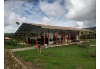 Fincas y Casas Campestres, Venta, La Cumbre - $960.000.000