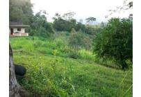 Fincas y Casas Campestres, Venta, La Buitrera - $2.400.000.000