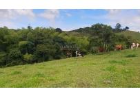 Fincas y Casas Campestres, Venta, La Cumbre - $1.850.000.000