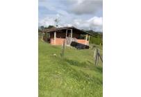 Fincas y Casas Campestres, Venta, La Cumbre - $1.850.000.000