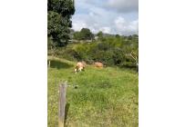 Fincas y Casas Campestres, Venta, La Cumbre - $1.850.000.000