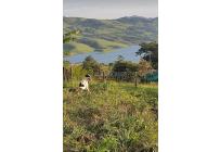 Lotes, Venta, Calima (Darién) - $960.000.000