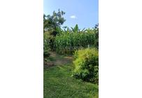 Lotes, Venta, Calima (Darién) - $960.000.000