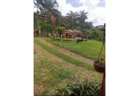 Lotes, Venta, Calima (Darién) - $960.000.000