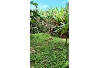 Lotes, Venta, Calima (Darién) - $960.000.000