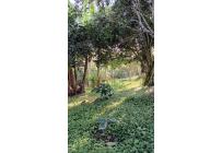 Lotes, Venta, Calima (Darién) - $960.000.000