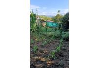 Lotes, Venta, Calima (Darién) - $960.000.000