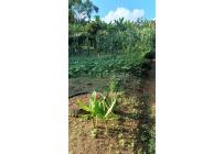 Lotes, Venta, Calima (Darién) - $960.000.000