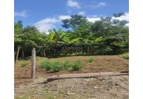 Lotes, Venta, Calima (Darién) - $960.000.000