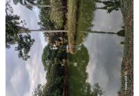 Apartamentos, Venta, Pance - $1.650.000.000