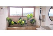 Fincas y Casas Campestres, Venta, Calima (Darién) - $3.500.000.000