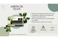 TIENDA NATURISTA - Negocios Establecidos