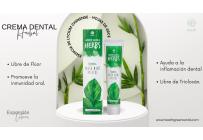 TIENDA NATURISTA - Negocios Establecidos