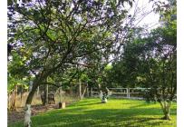 Lotes, Venta, Candelaria - $980.000.000