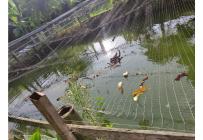 Lotes, Venta, Candelaria - $980.000.000