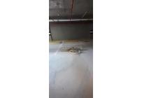 Apartamentos, Alquiler, Valle del Lili - $2.750.000