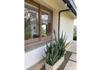 Fincas y Casas Campestres, Venta, Cantaclaro - $970.000.000