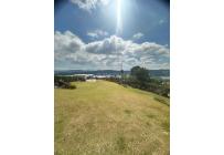 Fincas y Casas Campestres, Venta, Calima (Darién) - $1.270.000.000