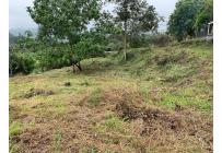 Lotes, Venta, La Reforma - $310.000.000