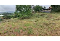 Lotes, Venta, La Reforma - $310.000.000