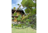 Fincas y Casas Campestres, Venta, Restrepo - $1.300.000.000