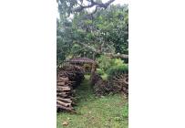 Fincas y Casas Campestres, Venta, Restrepo - $1.300.000.000