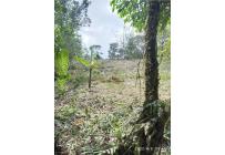 Lotes, Venta, Yumbo - $285.000.000