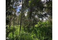 Lotes, Venta, Yumbo - $285.000.000